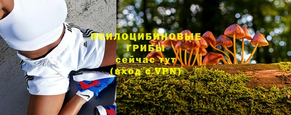 мет Касимов