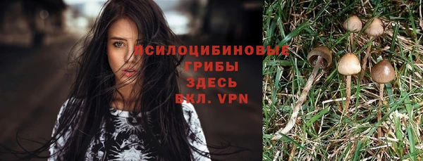 мет Касимов
